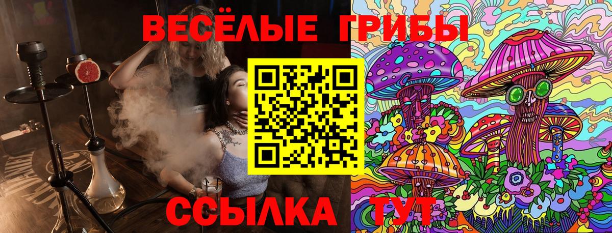 Ижевск  Псилоцибиновые грибы мухоморы  Вход с VPN  Псилоцибиновые грибы GOLDEN TEACHER 