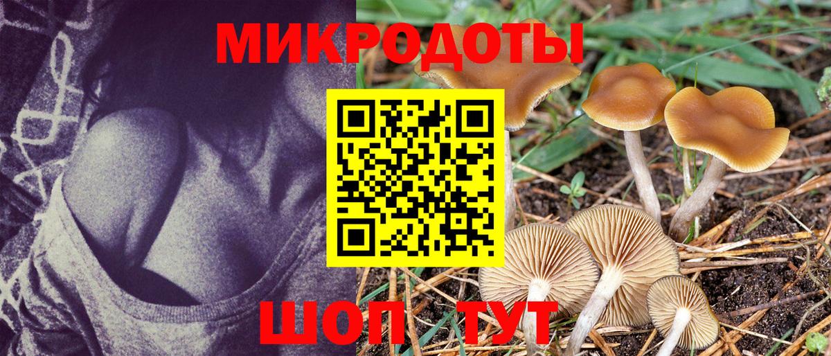 Псилоцибиновые грибы прущие грибы Ижевск
